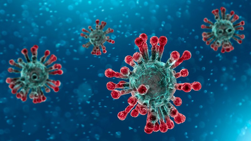 coronavirus models